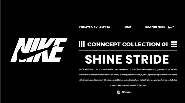 NIKE Project - Image 1